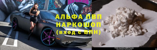 круглые Белокуриха