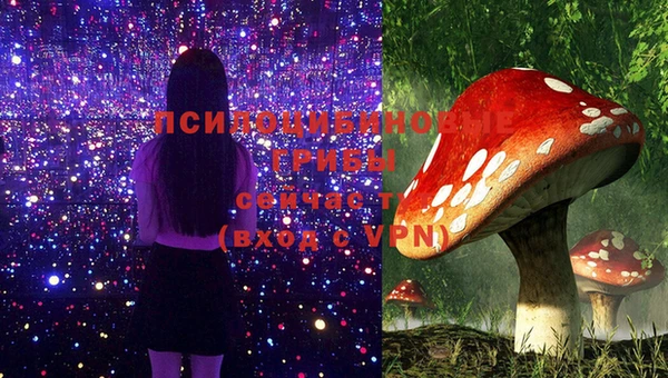 ПСИЛОЦИБИНОВЫЕ ГРИБЫ Белоозёрский