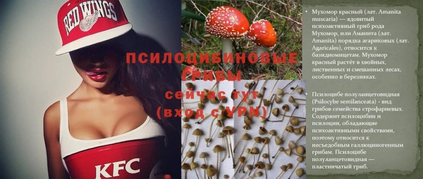 круглые Белокуриха