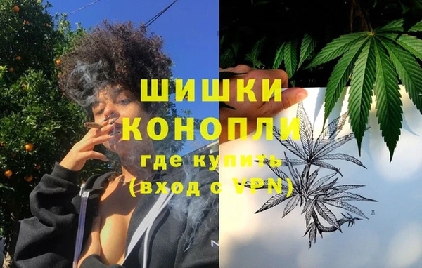 ПСИЛОЦИБИНОВЫЕ ГРИБЫ Белоозёрский